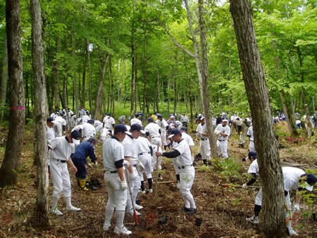 『野球つく』がバット素材「アオダモ」の植樹支援活動に参加