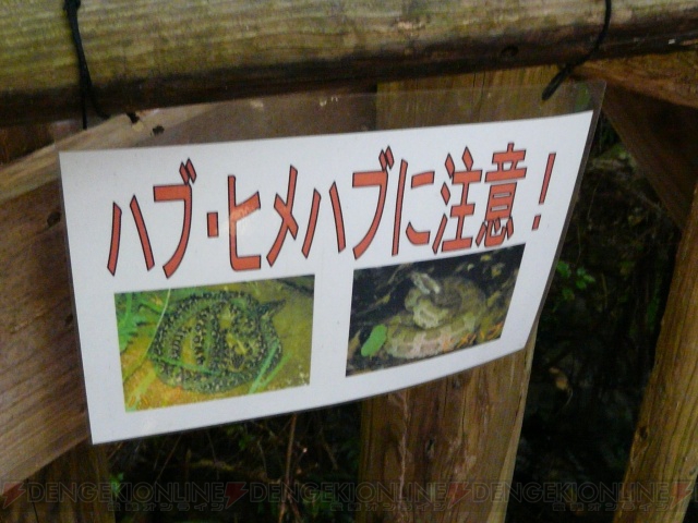 【ハンターさんいらっしゃい】サプライズ満載の沖縄・密林ツアー(2日目・前編)