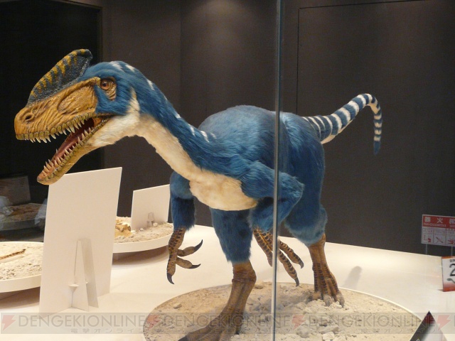 ラギアクルスの頭骨が出展！  世界最大級の恐竜が集う“恐竜2009”明日スタート