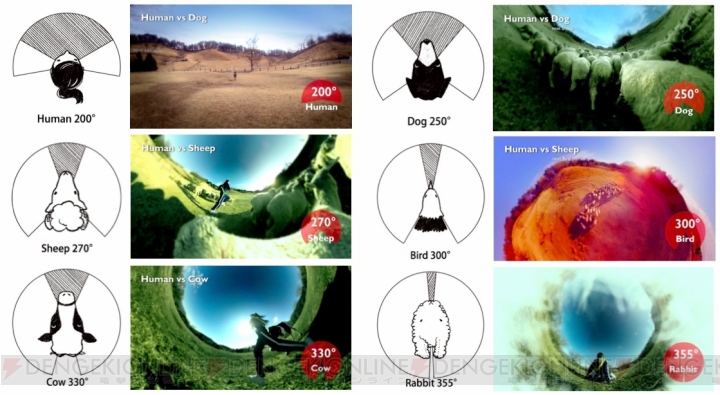 動物の視野を再現した『牧場物語 つながる新天地』の最新プロモーション動画が公開！ これがアンゴラウサギの見ている355度の世界だ