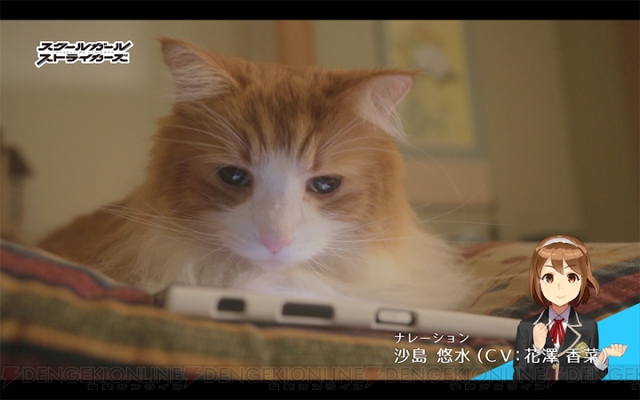 『スクスト』実際のネコが隊長に!? 沙島悠水（声優：花澤香菜）がナレーションの動画が配信