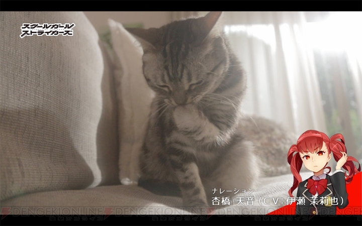 『スクスト』実際のネコが隊長に!? 沙島悠水（声優：花澤香菜）がナレーションの動画が配信