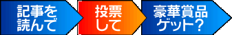 記事を読んで→投票して→豪華賞品ゲット？