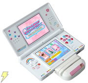 ニンテンドーDS カードリーダー + オシャレ魔女 ラブandベリー DS