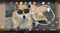 写真