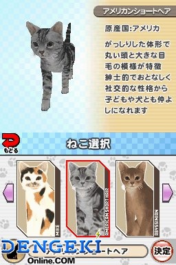 『夢ねこDS』