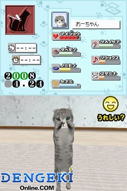 『夢ねこDS』