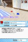 『夢ねこ DS』