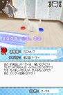 『夢ねこ DS』