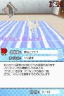 『夢ねこ DS』