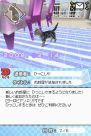 『夢ねこ DS』
