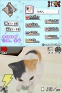 『夢ねこ DS』