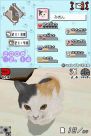 『夢ねこ DS』