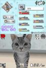 『夢ねこ DS』