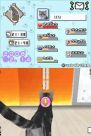 『夢ねこ DS』