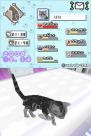 『夢ねこ DS』