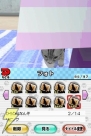 『夢ねこ DS』