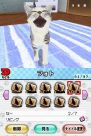 『夢ねこ DS』