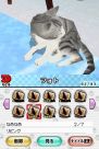『夢ねこ DS』