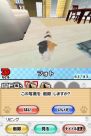『夢ねこ DS』