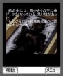 『セツの火』