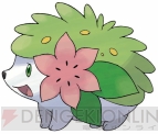 「劇場版ポケットモンスター ダイヤモンド・パール　ギラティナと氷空（そら）の花束 シェイミ」