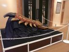 「モンスターハンターフェスタ’08」
