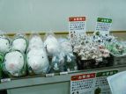 「モンスターハンターフェスタ’08」