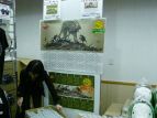 「モンスターハンターフェスタ’08」