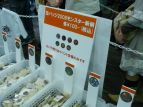 「モンスターハンターフェスタ’08」