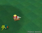 『みんなのポケモン牧場』