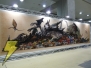 「モンスターハンターフェスタ’08」