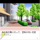 『恋のいろは～さくら咲く春～』