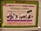 「モンスターハンターフェスタ’08」