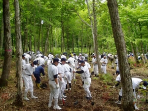 野球つく がバット素材 アオダモ の植樹支援活動に参加 電撃オンライン