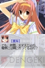 『海辺でリーチ！DS』