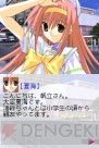 『海辺でリーチ！DS』