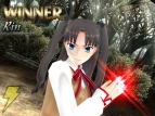『Fate/unlimited codes』