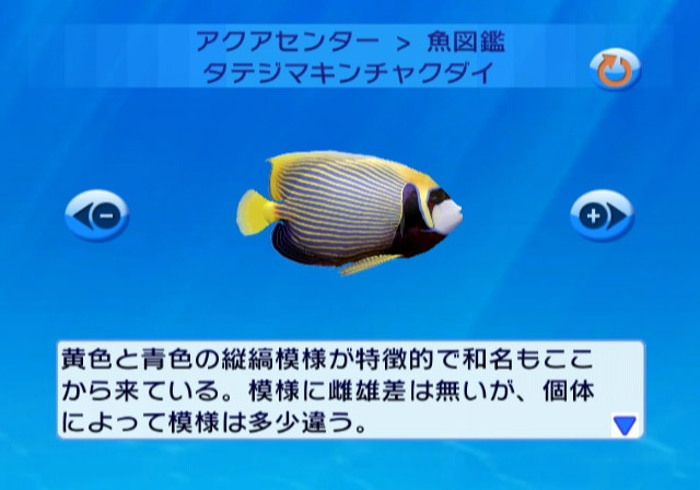 自分だけの癒し空間を作成 ブルーオアシス 魚の癒し空間 電撃オンライン 自分だけの癒し空間を作成 ブルーオアシス 魚の癒し空間 電撃オンライン