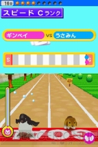 『ペットショップ物語 DS』