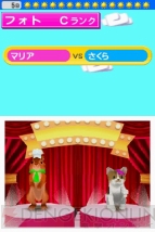 『ペットショップ物語 DS』