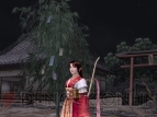 『信長の野望 Online』