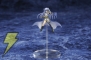 「八神はやて」