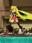 「ワンダーフェスティバル2008［夏］」