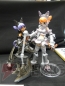 「ワンダーフェスティバル2008［夏］」