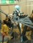 「ワンダーフェスティバル2008［夏］」