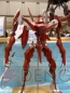 「ワンダーフェスティバル2008［夏］」