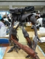 「ワンダーフェスティバル2008［夏］」