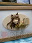 「ワンダーフェスティバル2008［夏］」