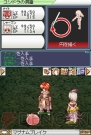 『ラグナロクオンラインDS』